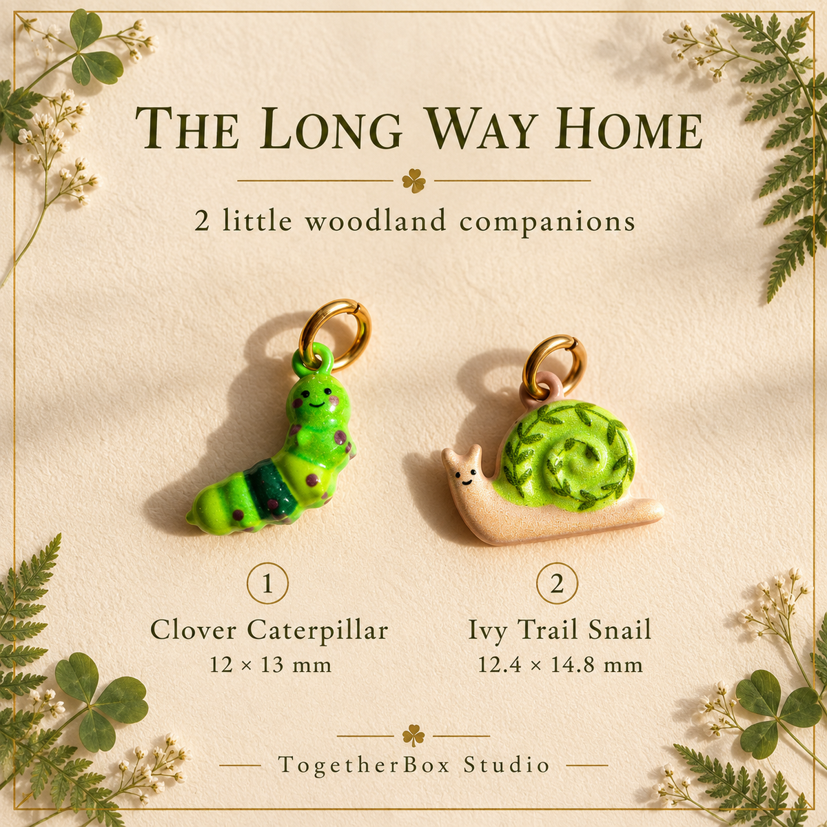 Numbered guide to Clover Caterpillar 12 by 13 mm and Ivy Trail Snail 12.4 by 14.8 mm