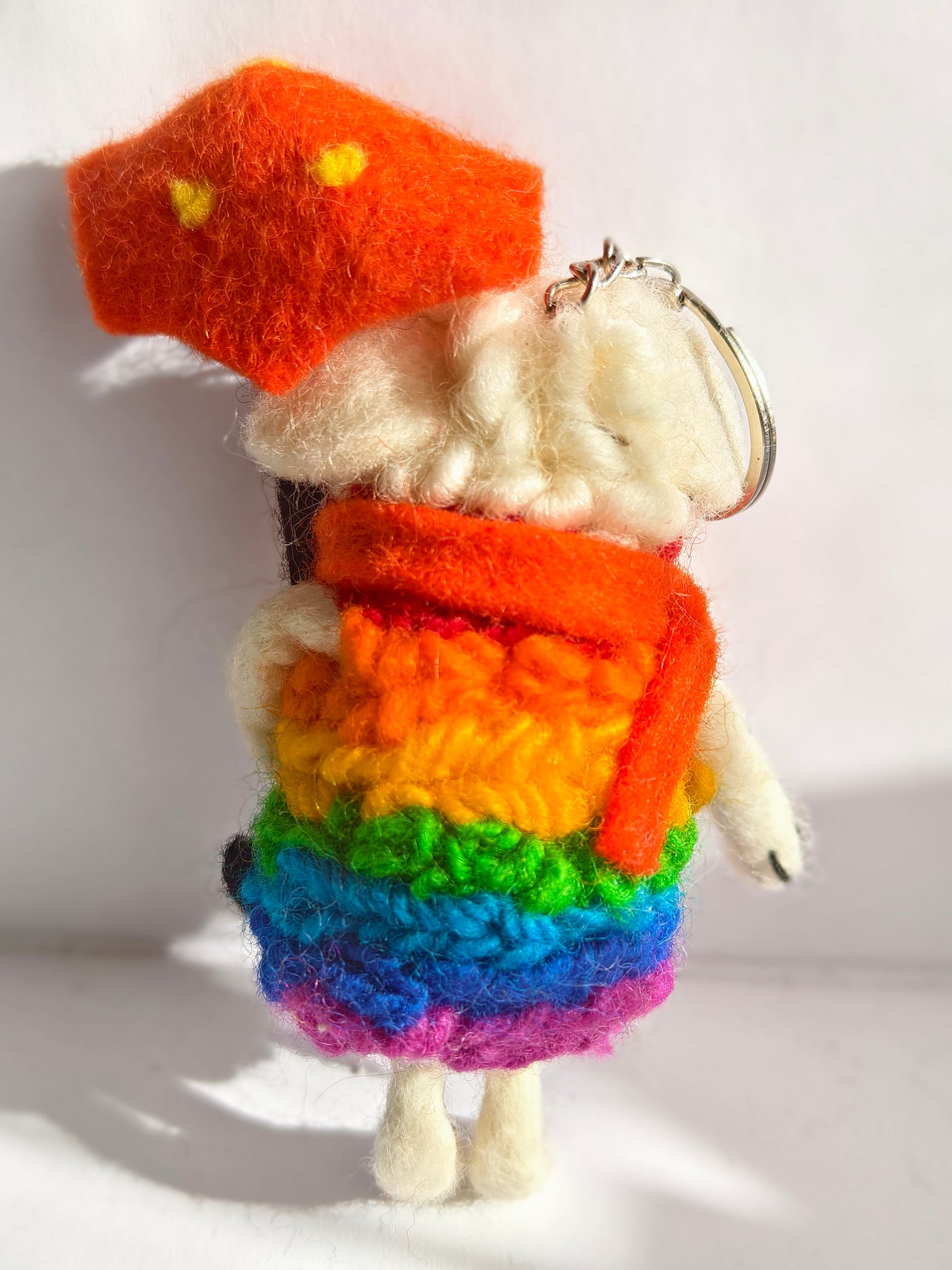 The Rainbow Dreamer