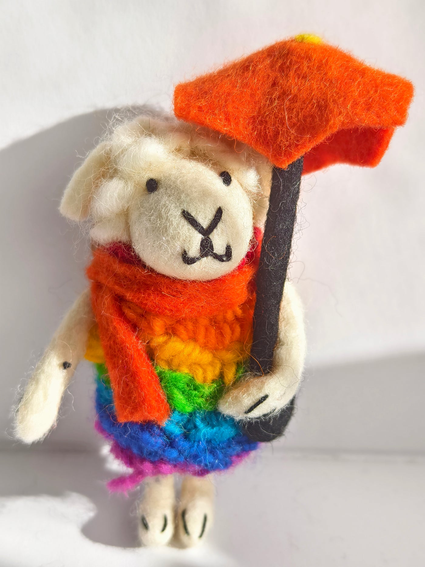 The Rainbow Dreamer